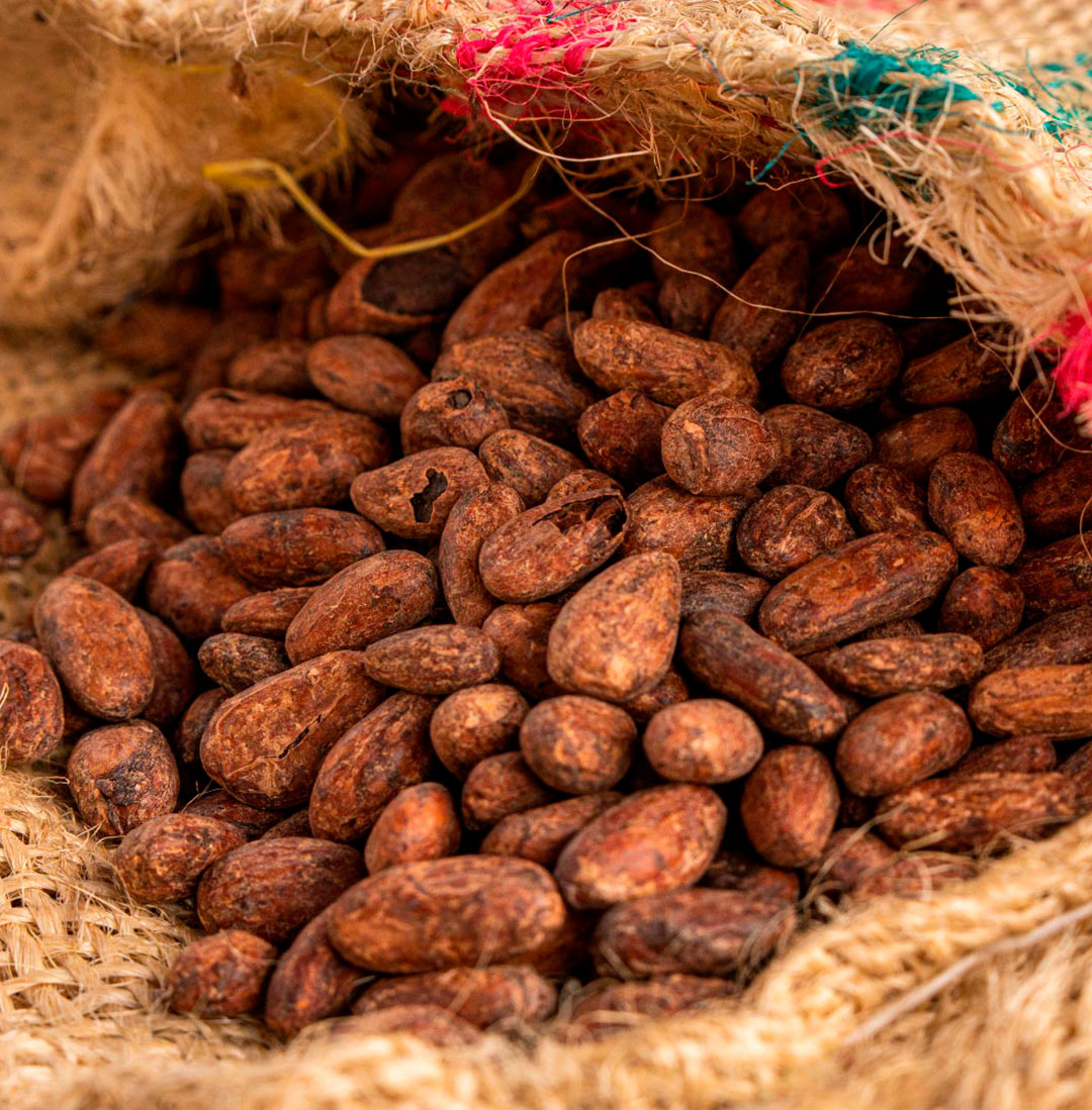 5 razones por las que deberías incluir cacao orgánico en tu dieta